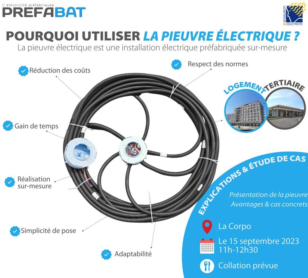 La Pieuvre Electrique : Explications & Etudes de cas -> Vendredi 15 Septembre à la Corpo