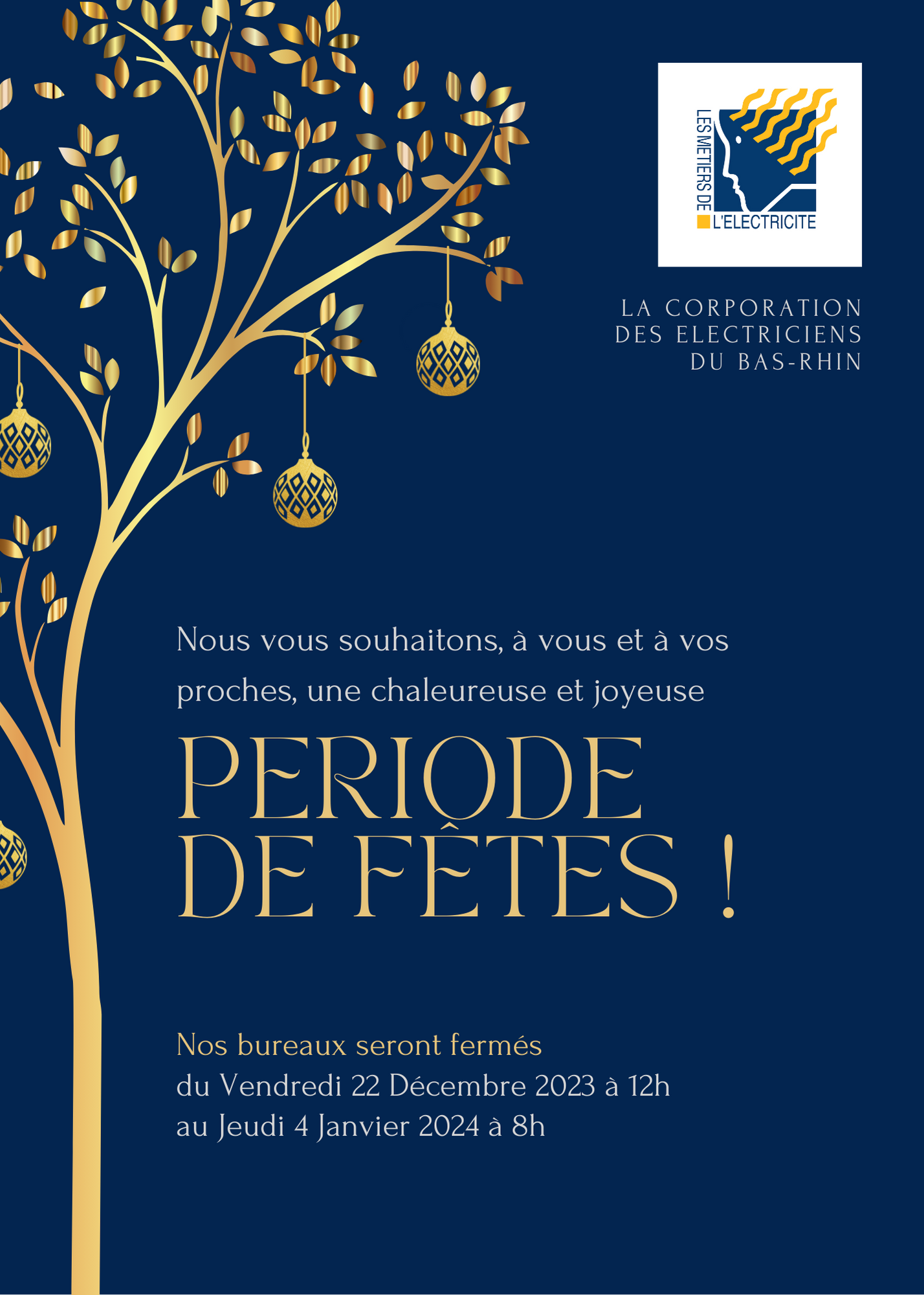 Foncé Bleu et Doré Chic et Élégant Personnel Fêtes Invitation (1)